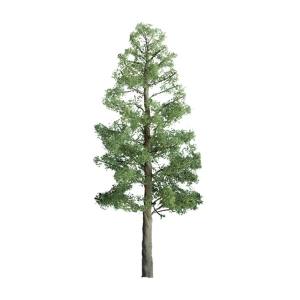 JTT Pine 1'' Pro 6/pk - JTT94289