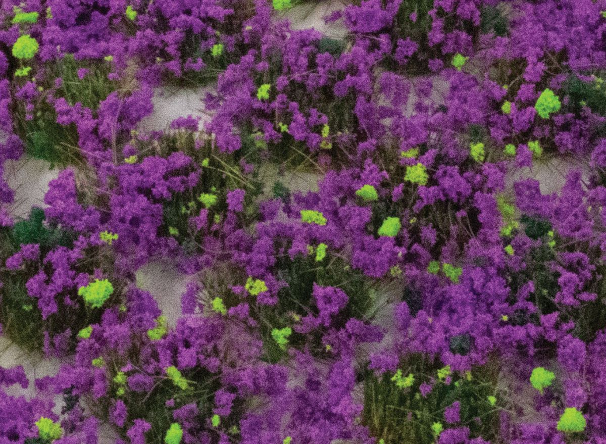 PPC - Peco 4mm Heather Static Grass Tufts x 100 - PPCSGTHET04