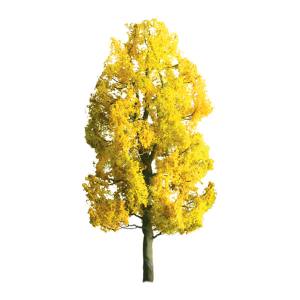 JTT Sycamore Early-fall 1'' Pro 6/pk - JTT94369