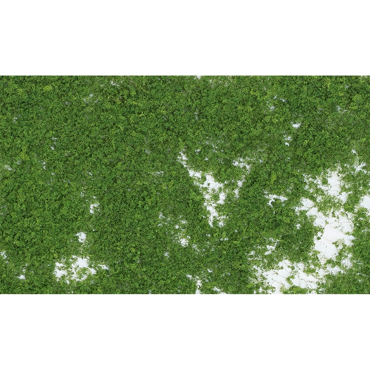 Woodland Scenics Foliage/Medium Green